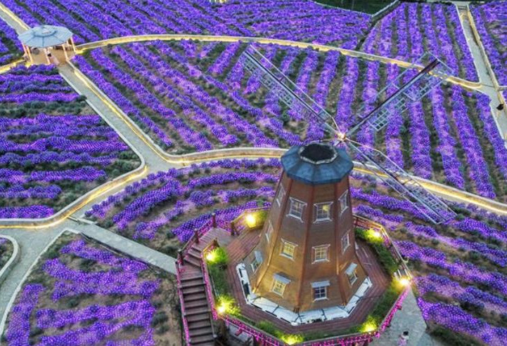 南京谷里大塘金拓展团建基地